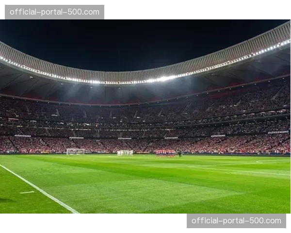 欧足联代表检查马竞主场草坪，确保符合欧冠比赛标准